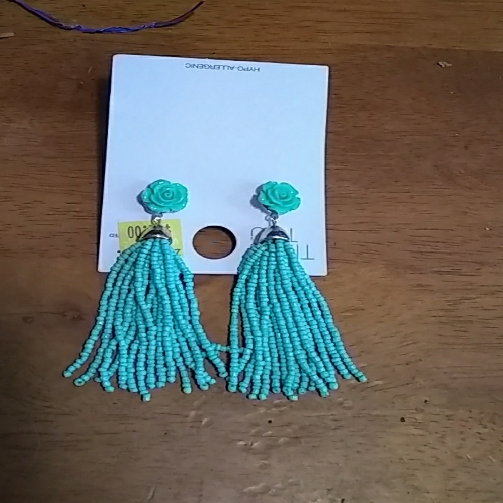 Fashion earrings